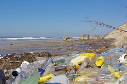 Plastic bottles on beech (Thinkstock)