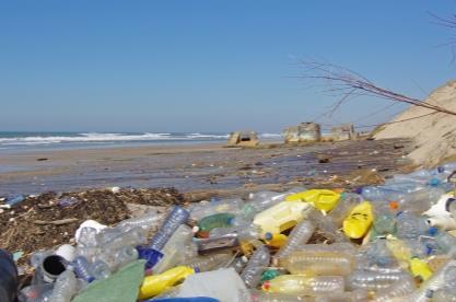 Plastic bottles on beech (Thinkstock)