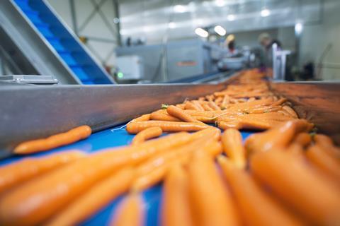 usine de production de carottes légumes