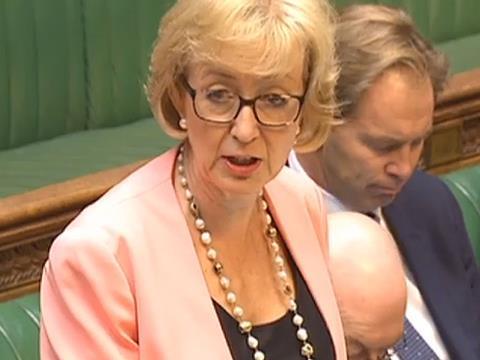 Andrea Leadsom_one use