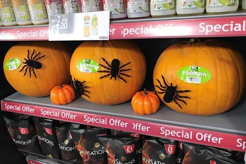 Pumpkins Display