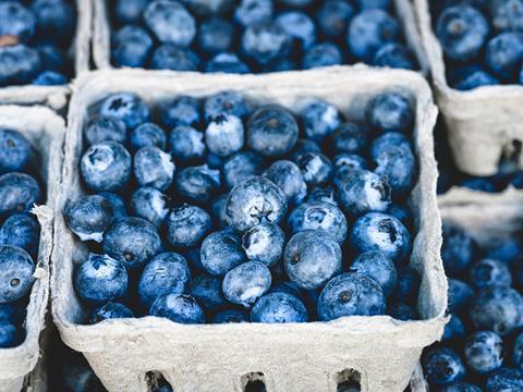 Blueberries web