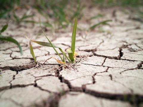 dry earth drought climate change