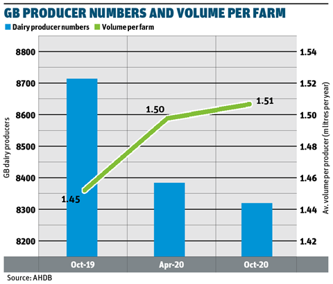 Dairymen Infographic