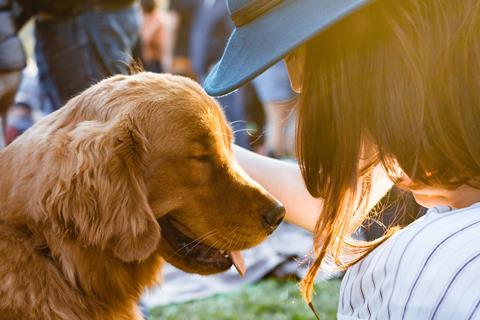 dog and owner