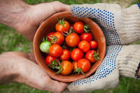 elaine-casap-qgHGDbbSNm8-unsplash