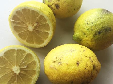 riverford lemons