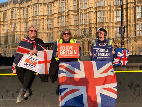 brexit leave protesters