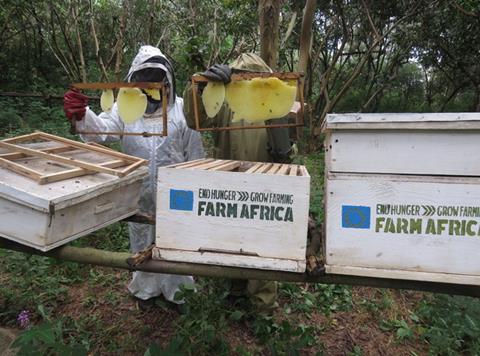 farm africa bees