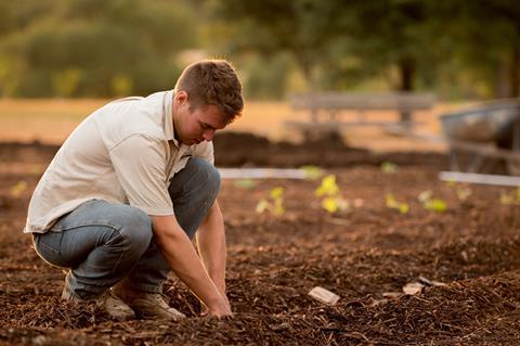 worker farmer in field