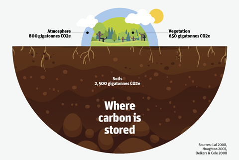 Where soil is stored infographic