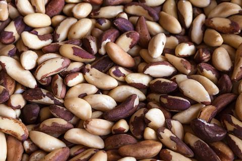 Brazil nuts GettyImages-977580734
