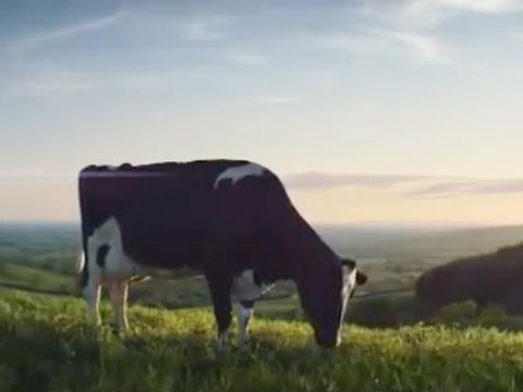 Wyke Farms Ad