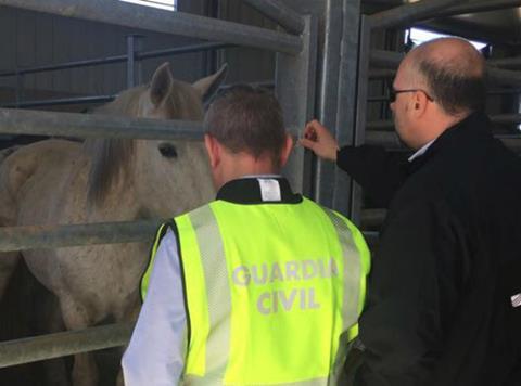 Horsemeat arrests
