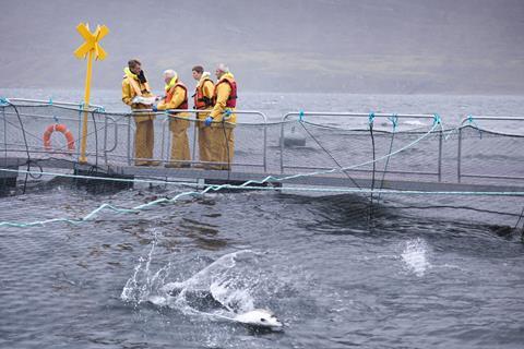 Salmon farmers on pontoon of Scottish salmon farm over sea loch