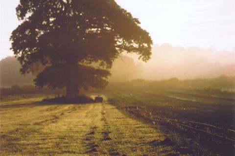 Daylesford Organic