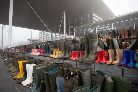 Senedd Wellies