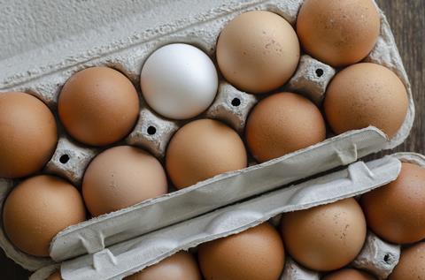 Eggs (2)
