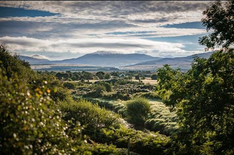 Diageo pledges up to £5million to restore Scotland's peatlands