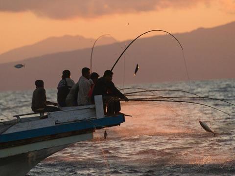 tuna fishing