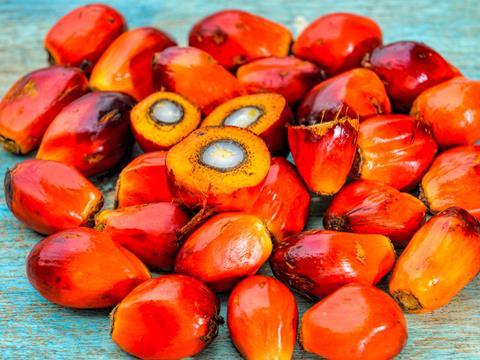 palm oil