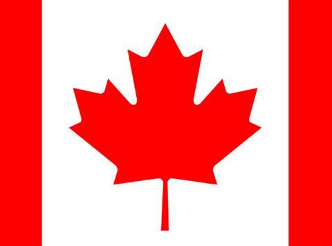 Canadian flag - detail