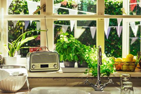 Kitchen window radio herbs