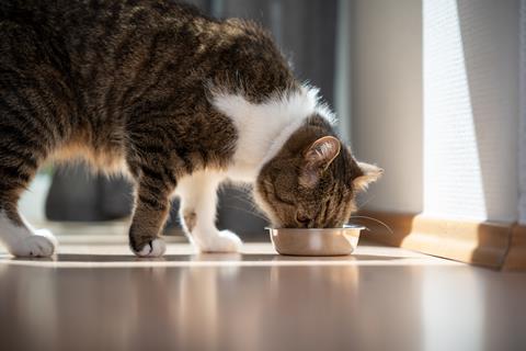 How did pet food brands perform in 2023?