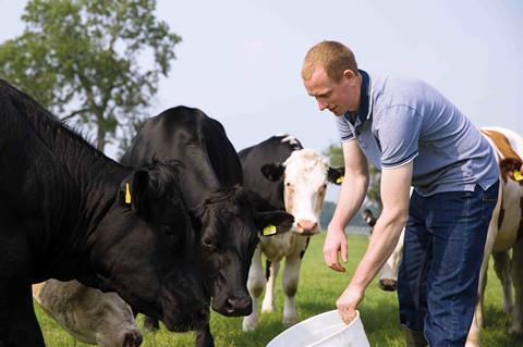 Lidl_Supplier_Beef