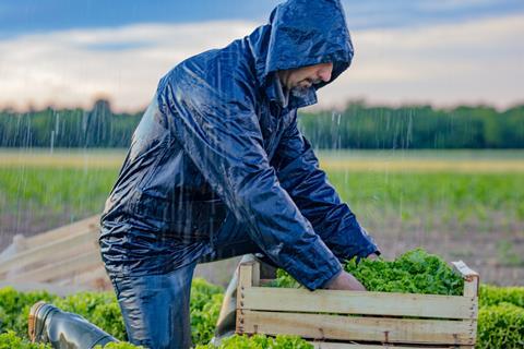 rain farm farmer worker weather