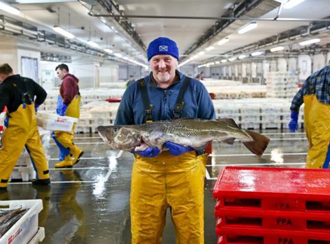Cod fishing boat skipper David Milne in Peterhead fish market