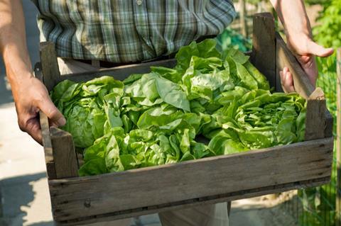 Farm worker