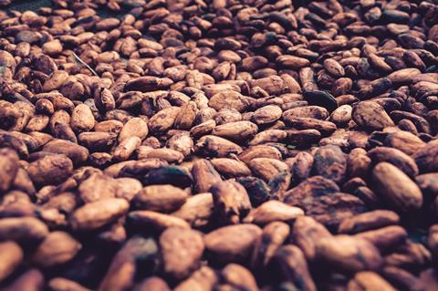 Cocoa beans