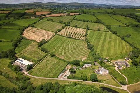 Calancombe Drone Shot - 1