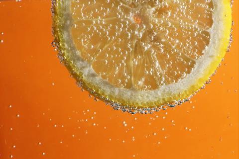 Lemon slice in sparkling water