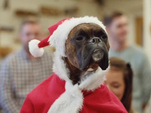 lidl christmas advert dog