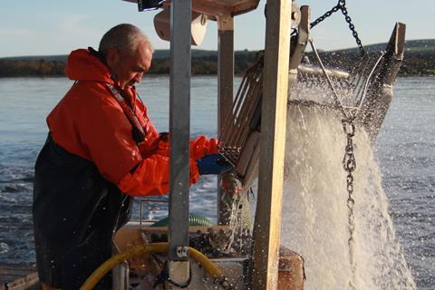 RS13122_Hauling_the_clam_dredge_Poole_Harbour_Oct_2017_by_Emma_Rance