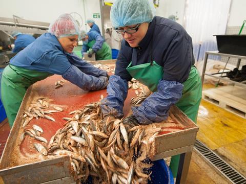 fish factory workers one use
