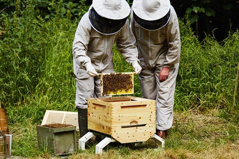 Eat Natural beekeepers