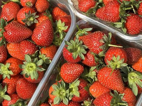 strawberries strawberry punnet