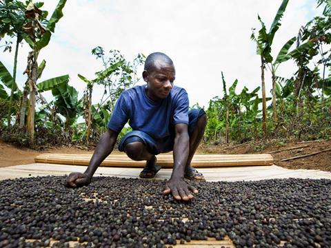 fairtrade farmer