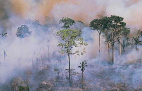 amazon forest fire