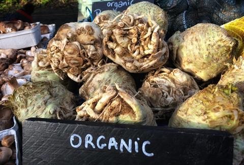 organic celeriac vegetables