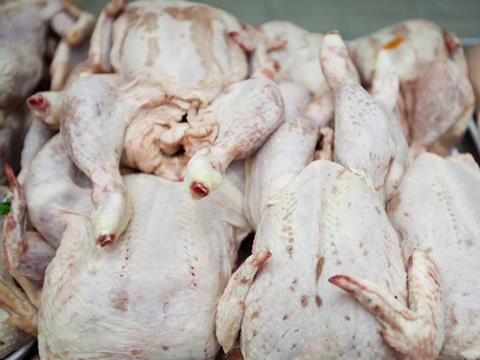 poultry recalls
