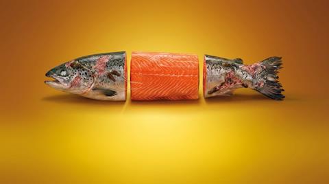 farmed salmon by Project Slingshot