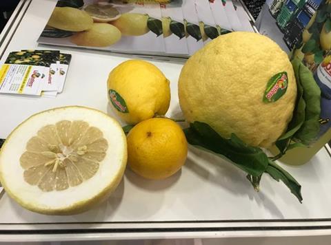 giant lemon