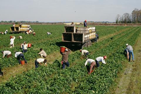 farming seasonal GettyImages-92824131