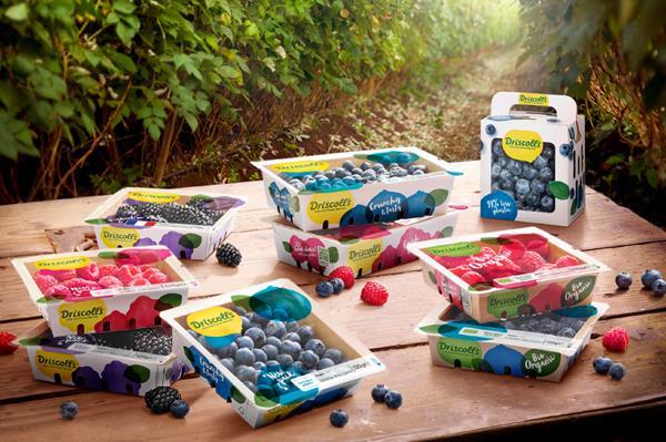 Driscoll’s expands rollout of paper berry packaging into Asda and ...