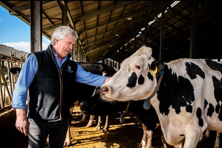 Tesco announces Bovaer feed supplement trial for dairy cows | The Grocer