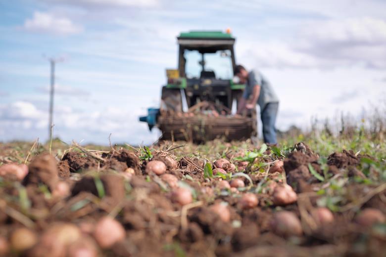 Farmers outraged as key sustainable subsidy closed The Grocer